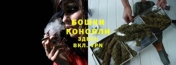 гидропоника Горнозаводск