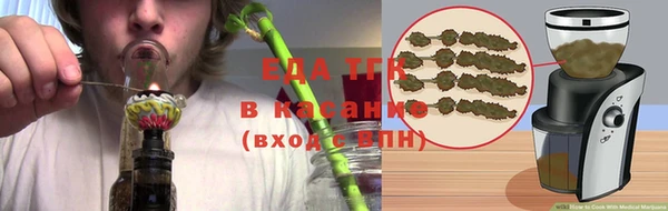 сатива Горняк