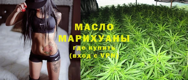 сатива Горняк