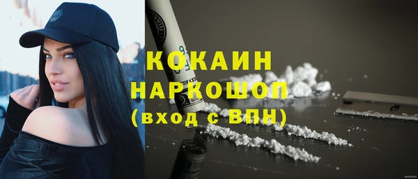 сатива Горняк