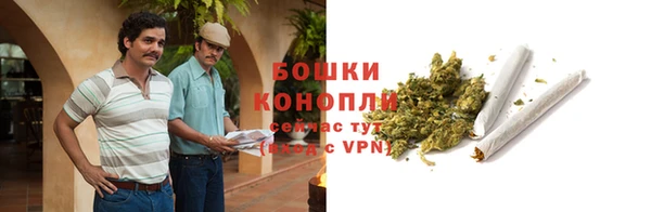 гидропоника Горнозаводск