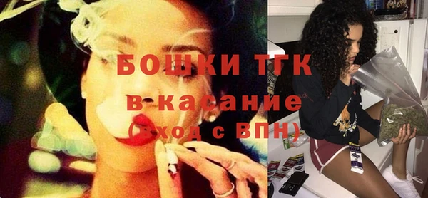 гидропоника Горнозаводск