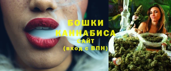 сатива Горняк