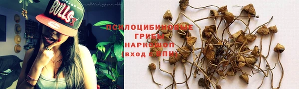 гашик Горно-Алтайск